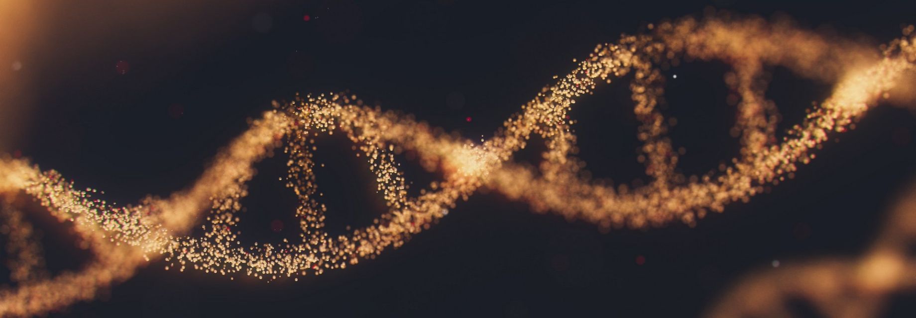 DNA Methylation