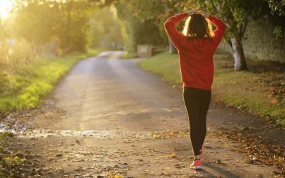 oestrogen sensitive Fibroids treatments