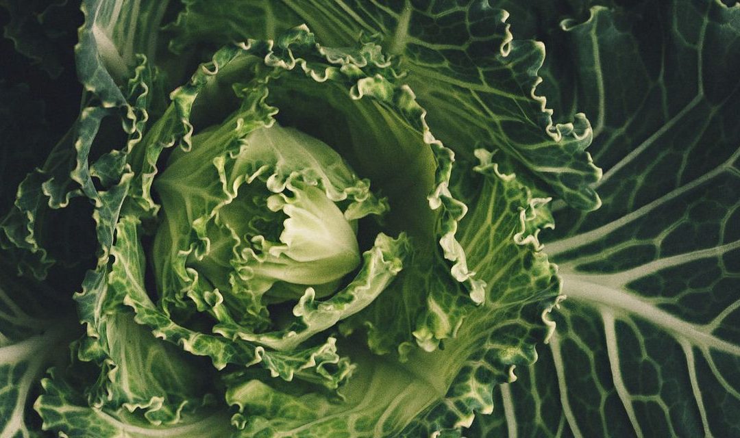Top 10 foods to restore hormone balance