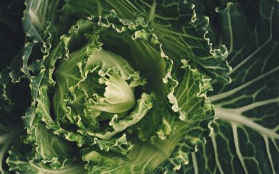 Top 10 foods to restore hormone balance